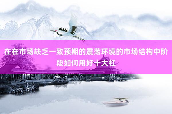 在在市场缺乏一致预期的震荡环境的市场结构中阶段如何用好十大杠