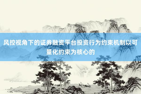 风控视角下的证券融资平台投资行为约束机制以可量化约束为核心的