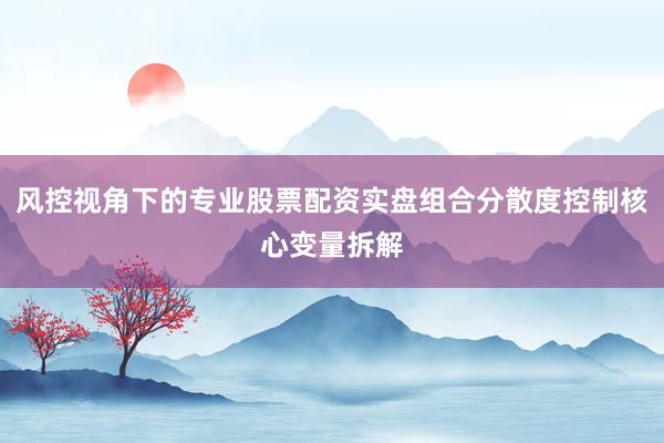 风控视角下的专业股票配资实盘组合分散度控制核心变量拆解