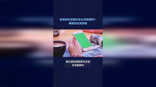 系统软件定制开发公司有哪些 哪家好比较好呢